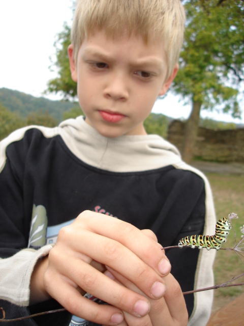 Schmidtburg 09  001067.JPG